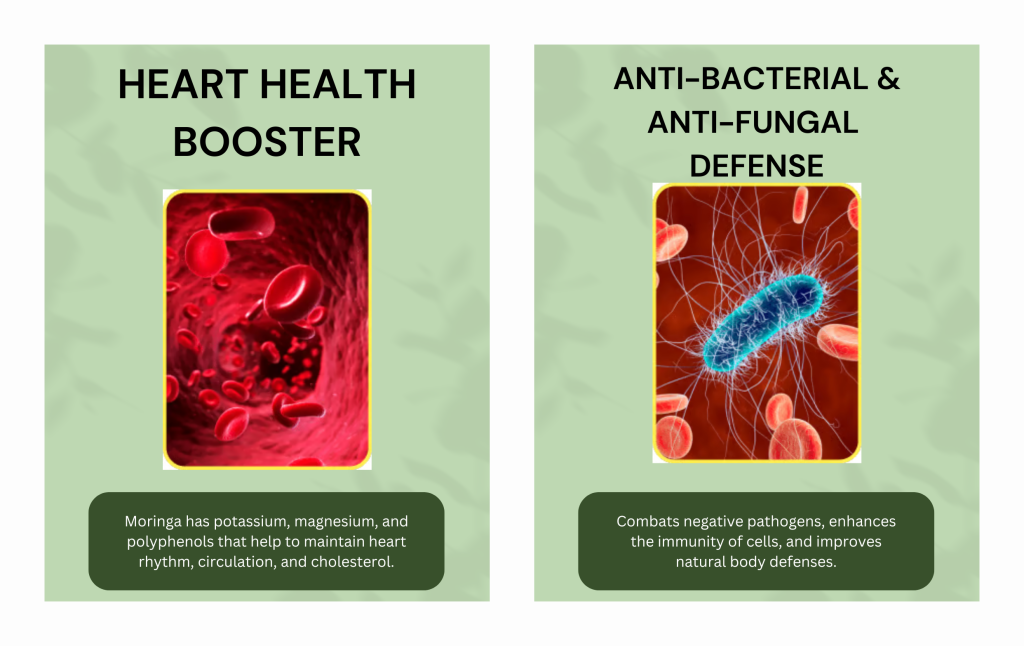 Use Of Moringa as Hearth Health & As A Anti bacterial