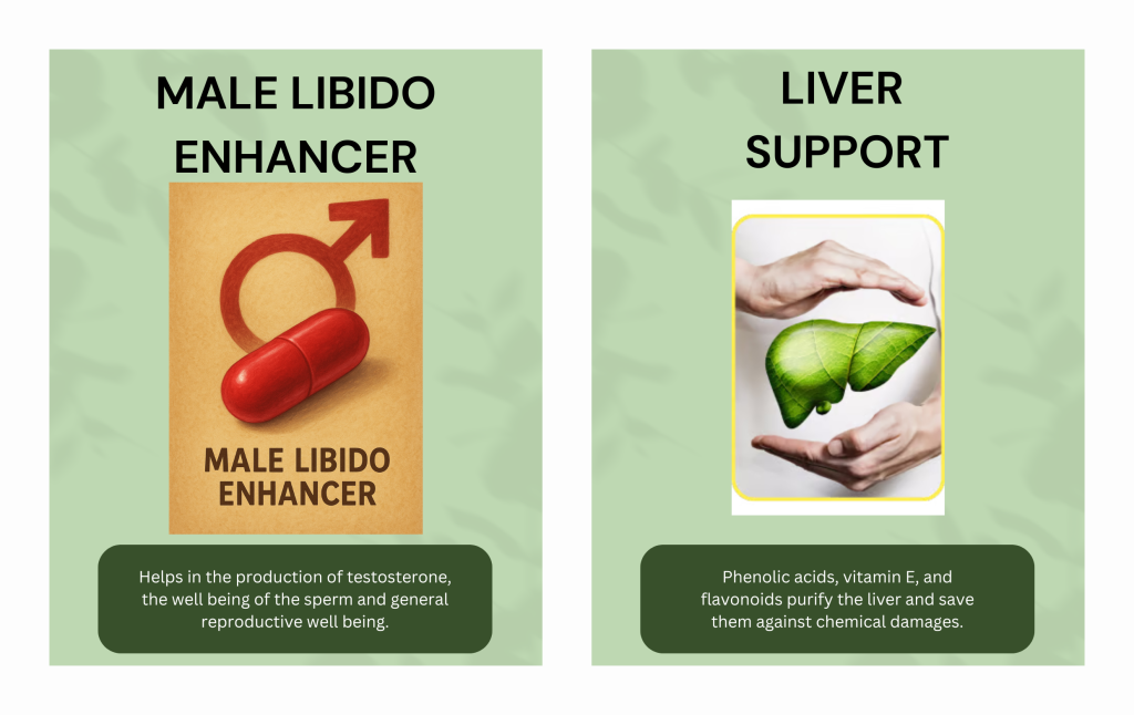 Moringa As A Male Libido Enhancer & Liver Support
