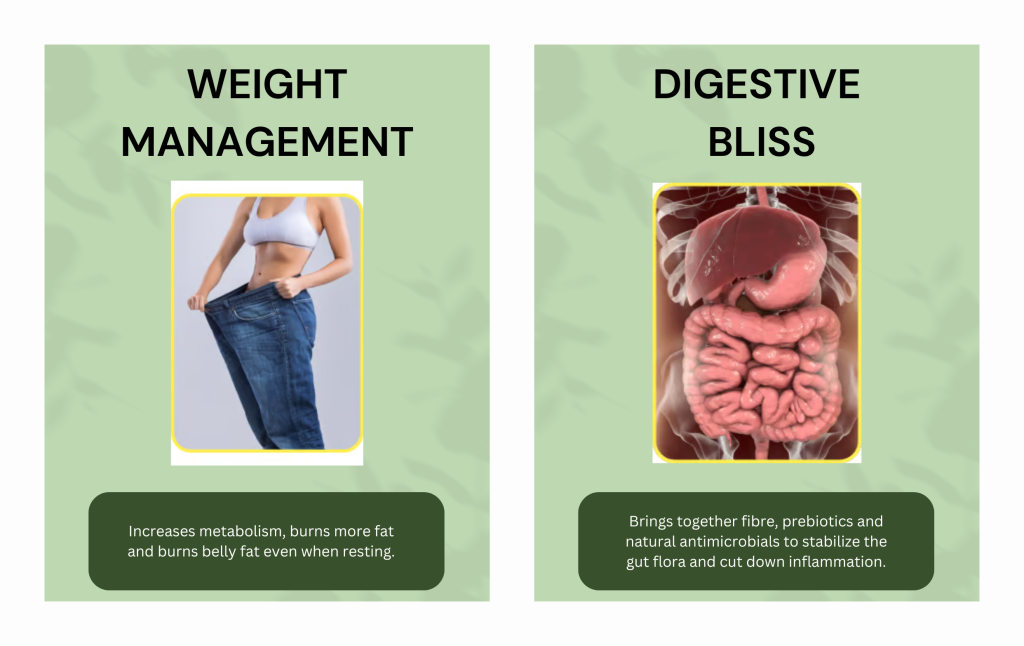 Moringa Use In Weight Management & In Digestion